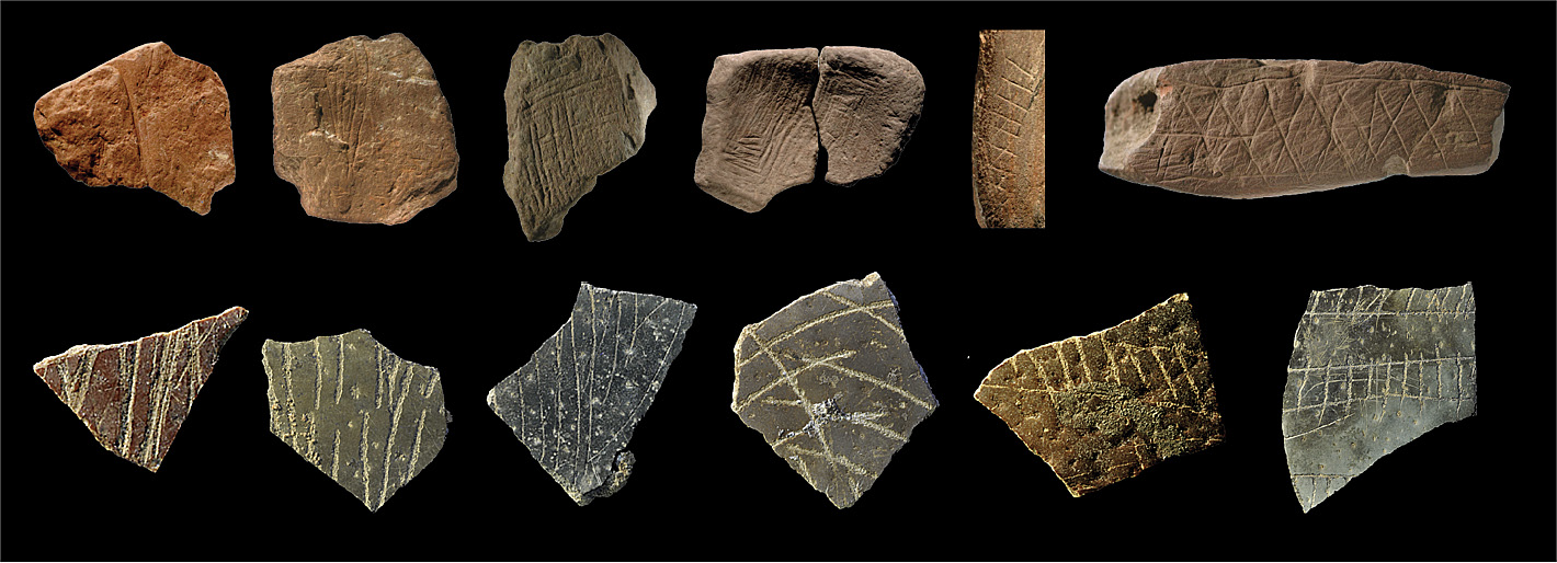 Pagnotta et al 2024 function shapes form figure